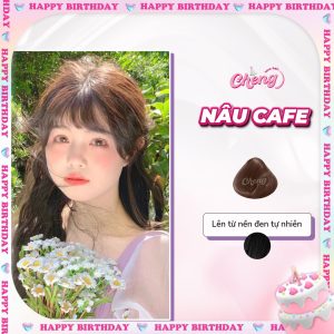 Thuốc Nhuộm Tóc Màu NÂU CÀ PHÊ - NÂU CAFE Không Tẩy