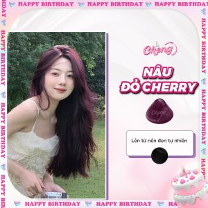 Thuốc Nhuộm Tóc Màu NÂU ĐỎ CHERRY Không Tẩy