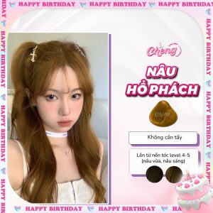 Thuốc Nhuộm Tóc Màu NÂU HỔ PHÁCH Không Tẩy