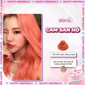 Thuốc Nhuộm Tóc Màu CAM SAN HÔ